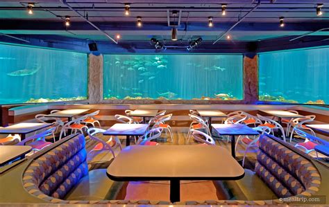 Elevate your dining experience at Shargs Underwater Grill's underwater grill